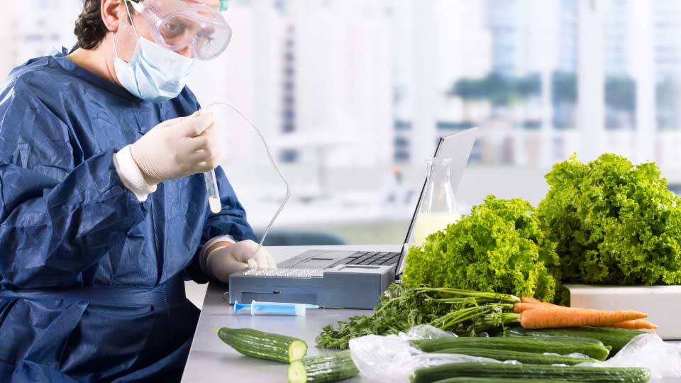 استاندارد HACCP 2022: راهنمای جامع ایمنی مواد غذایی و صدور گواهینامه HACCP