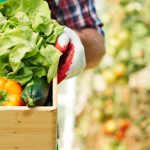 خدمات مدیریت ایمنی و کیفیت محصولات کشاورزی و مواد غذایی